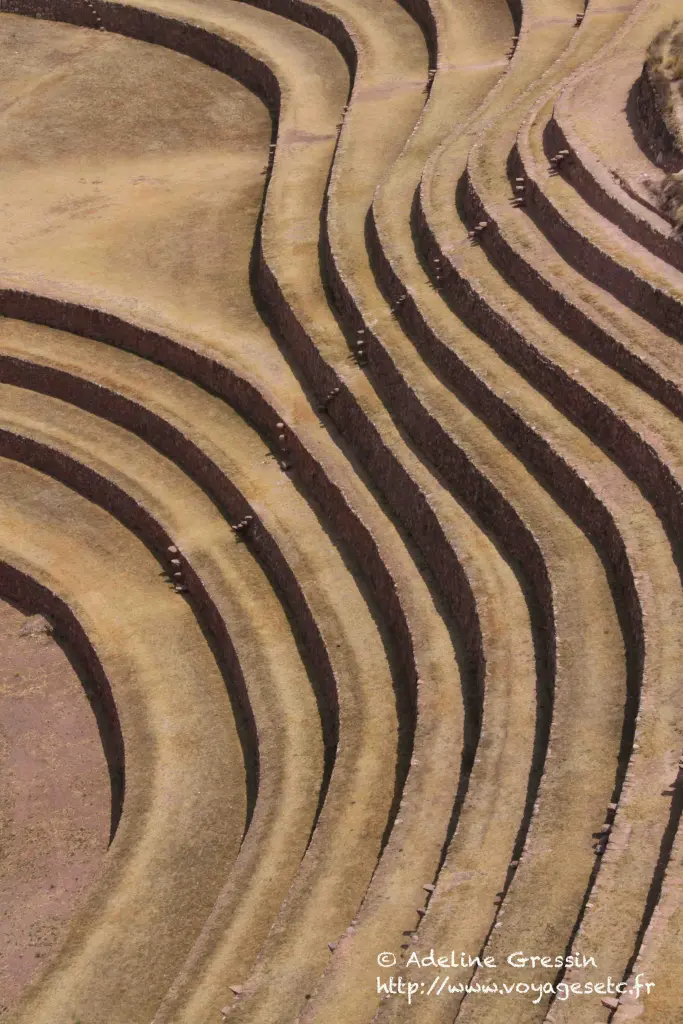 Les courbes de Moray