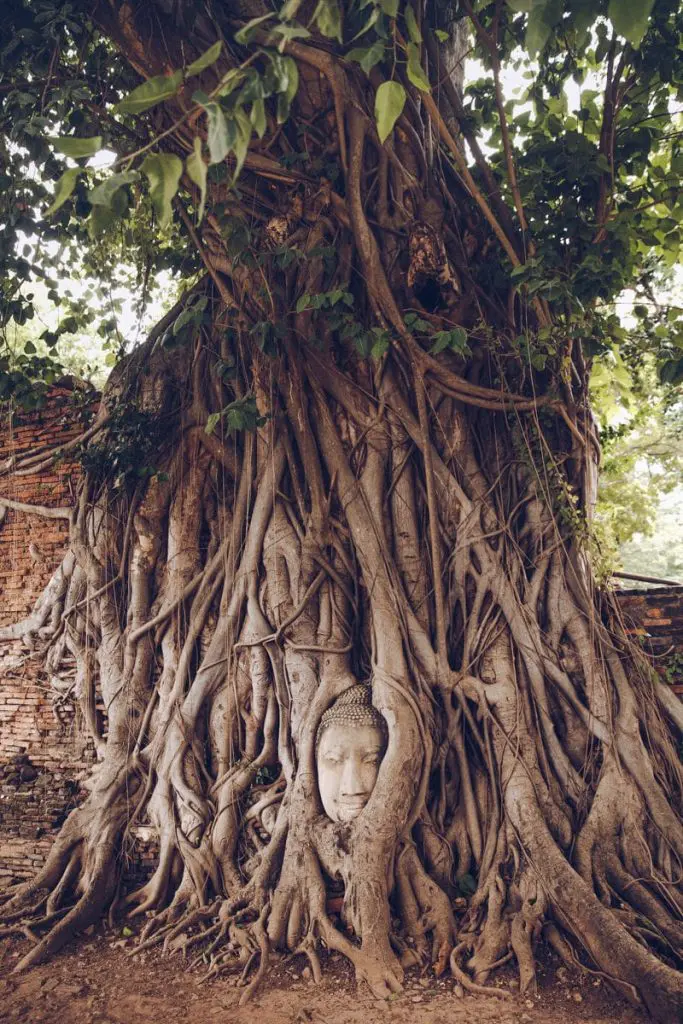 Wat Mahathat, Ayutthaya