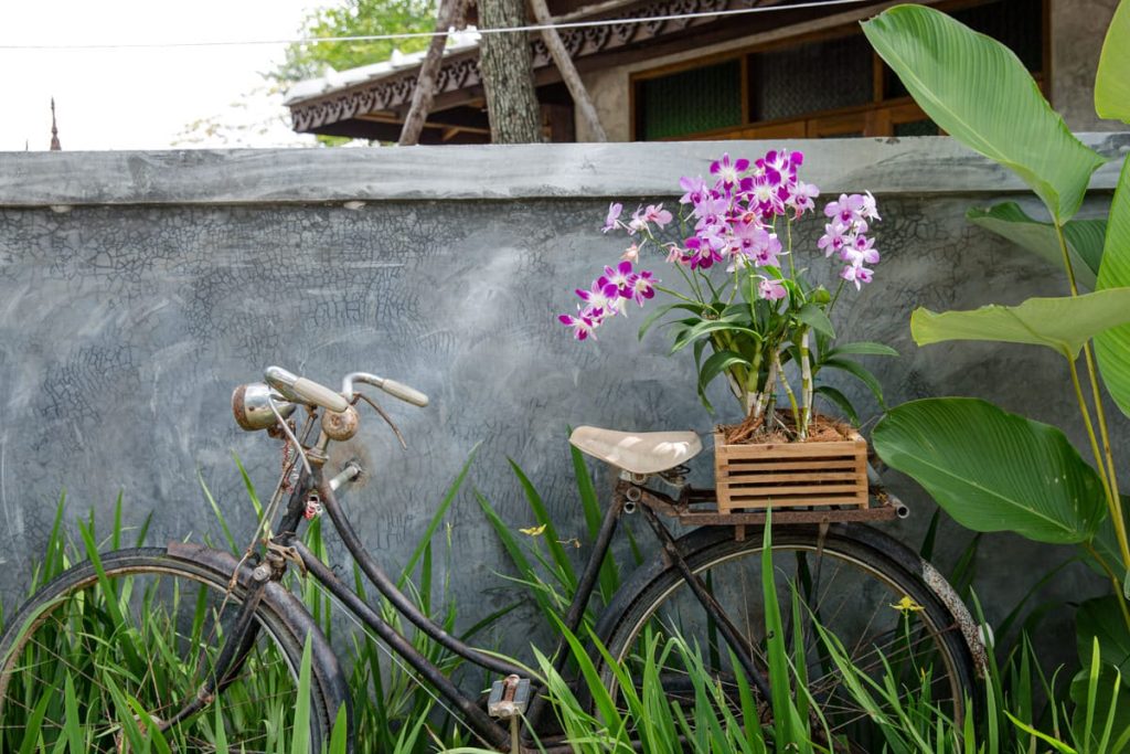 Louer un vélo à Chiang Mai, c'est la bonne idée pour se déplacer plus rapidement d'un temple à l'autre