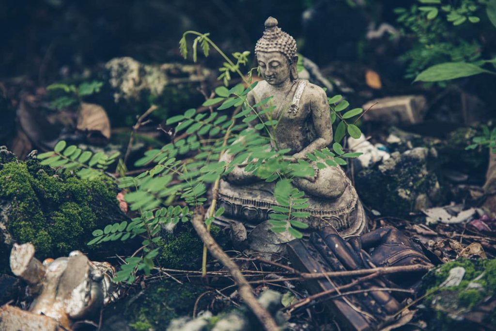 Visiter Chiang Mai, c'est se plonger dans ses temples. Mon préféré est le Wat Umong à l'extérieur de la ville