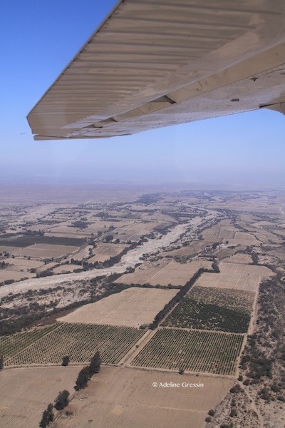 Nazca vu du ciel
