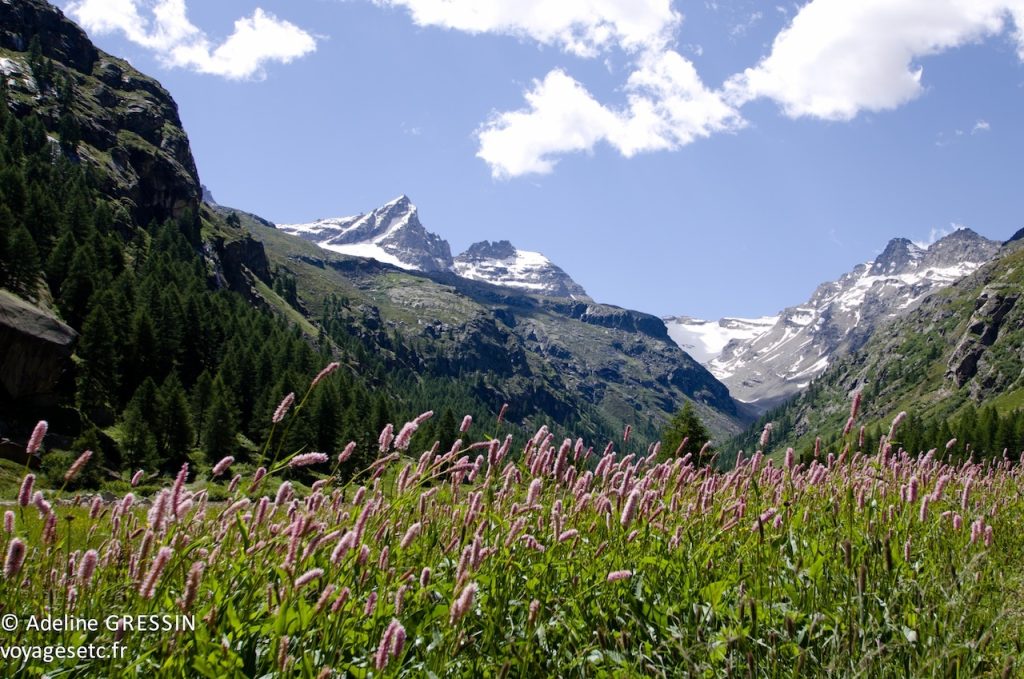 Mont Grand Paradis