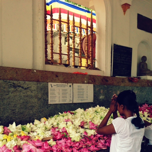 Bouddhisme au Sri Lanka - Prière anuradhapura