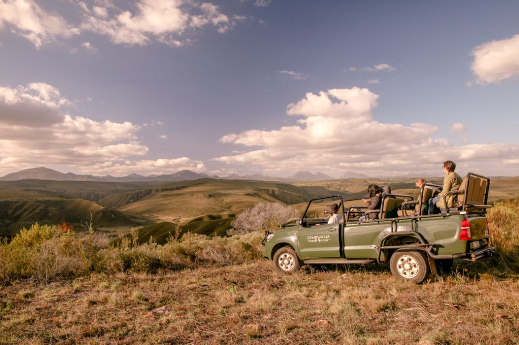 Safari en Afrique du sud - vue sur la réserve
