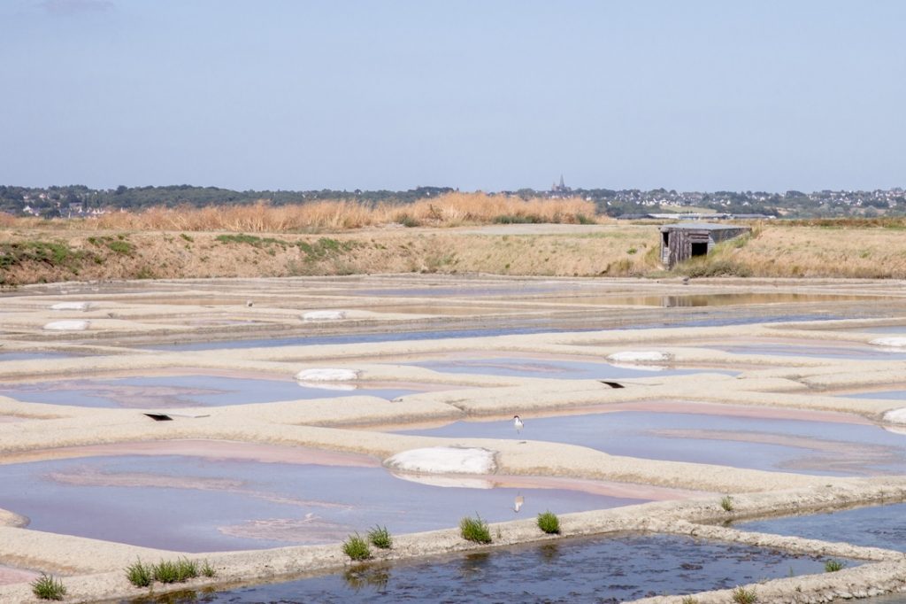 Loire Atlantique - Guerande marais salans