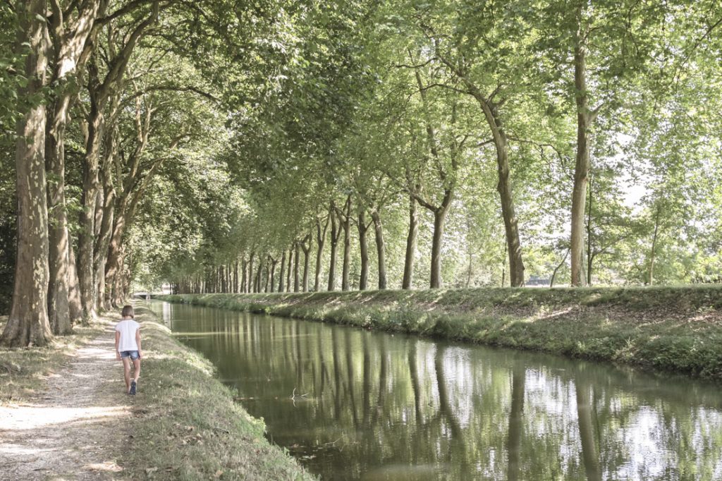 Canal de la saulre blancafort