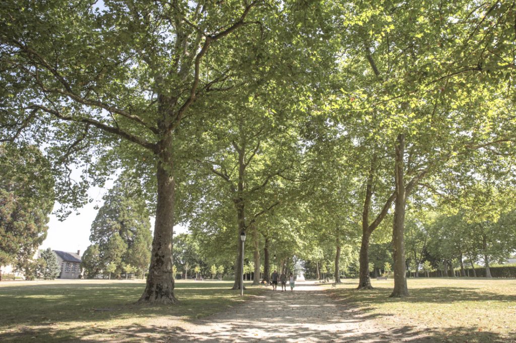 regard sur le Berry - les grands jardins aubigny sur nere