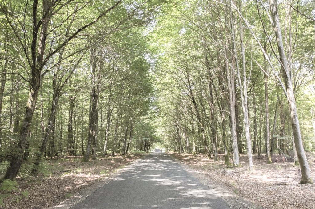 route d'ivoy le pré