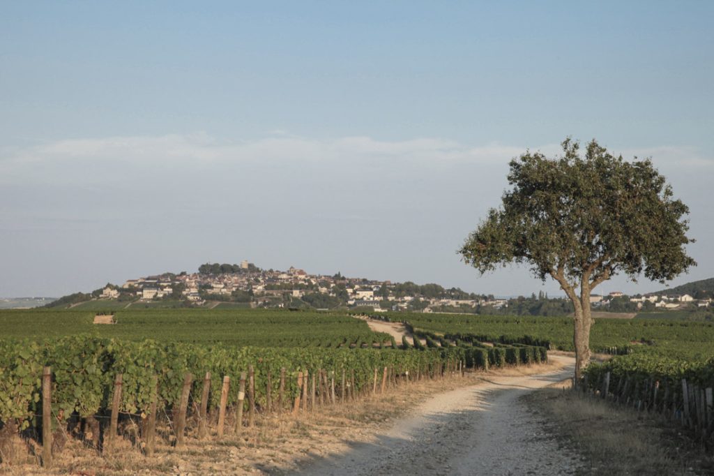 regard sur le Berry - vue sur Sancerre