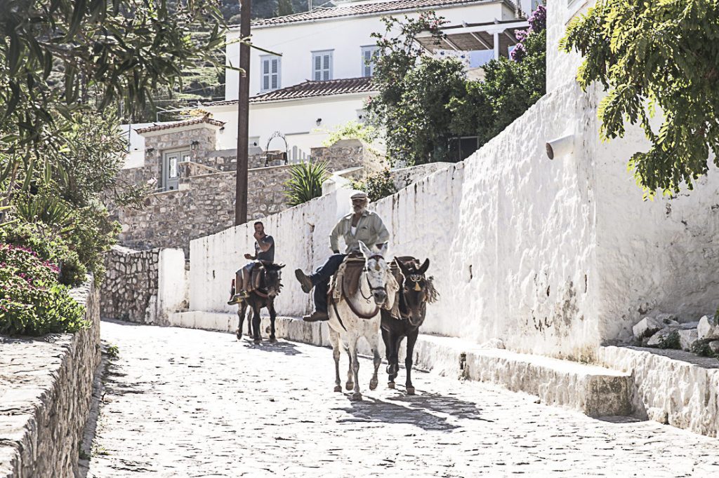 Hydra est une ile sans voiture. On se déplace avec des ânes