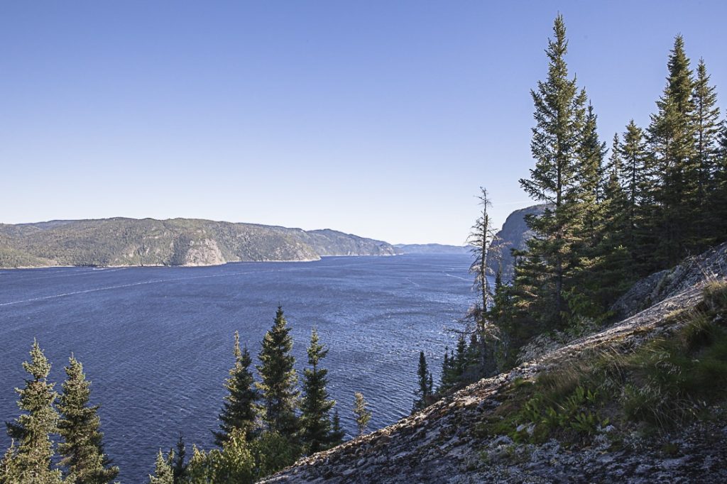 Le fjord du Saguenay fait sans conteste partie de mes coups de coeur de 2015. La nature à l'état pur !
