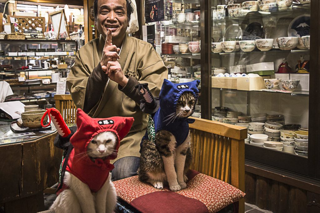 La classe les chats ninja non ?