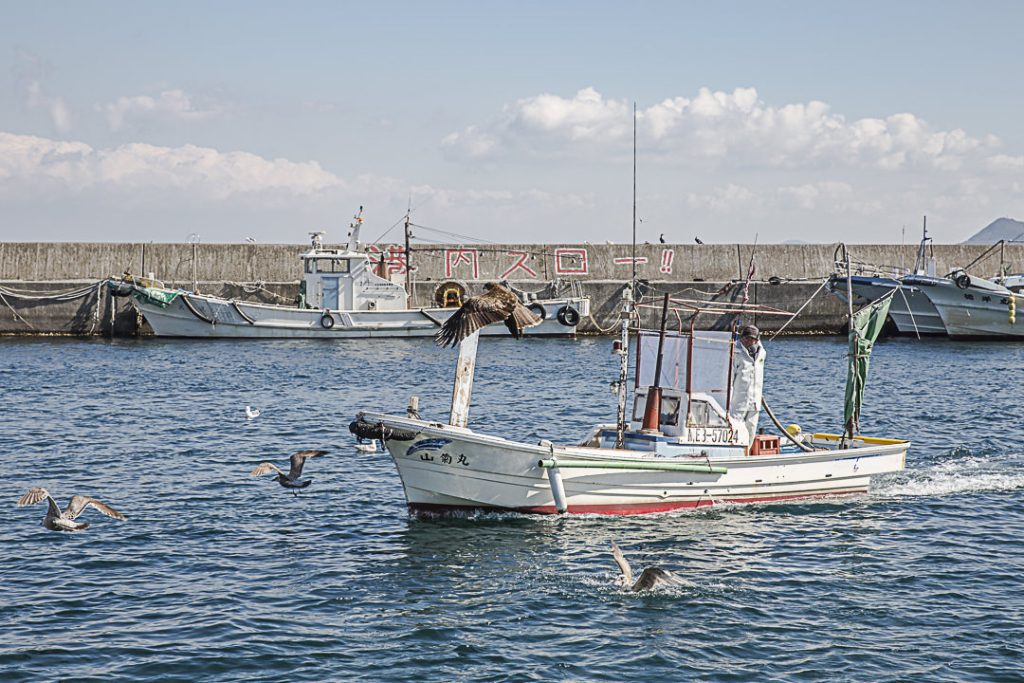 A Toshi-Jima, les bateaux rentrent au port juste avant la criée