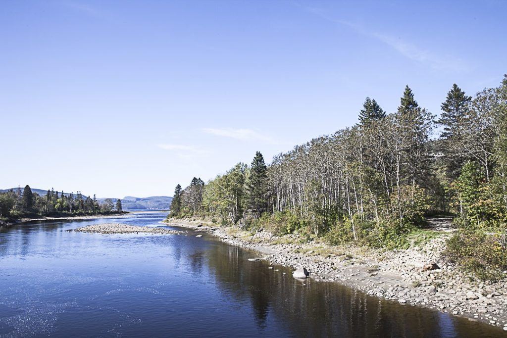 Parc marin du saguenay saint Laurent