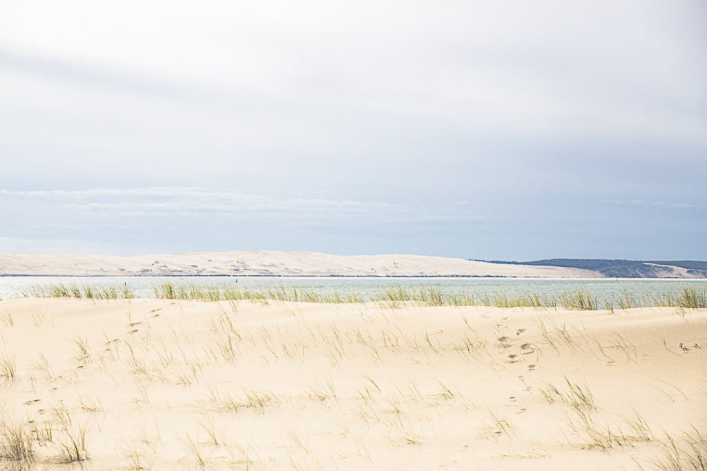 La dune de la pointe du Cap Ferret