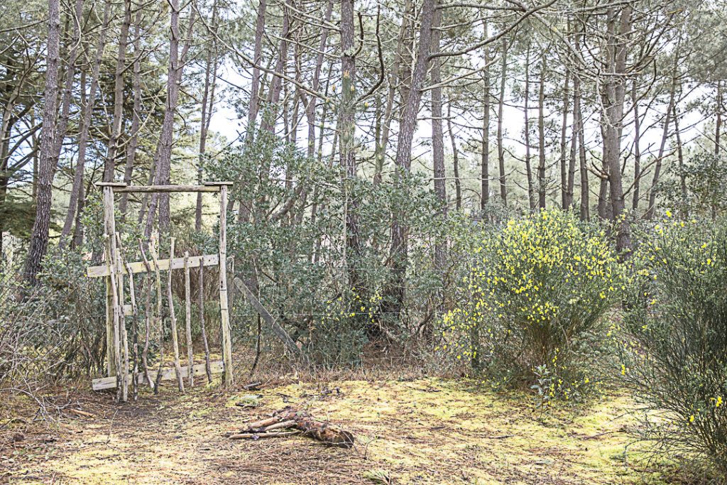 Le sentier de l'abécédaire Cap Ferret