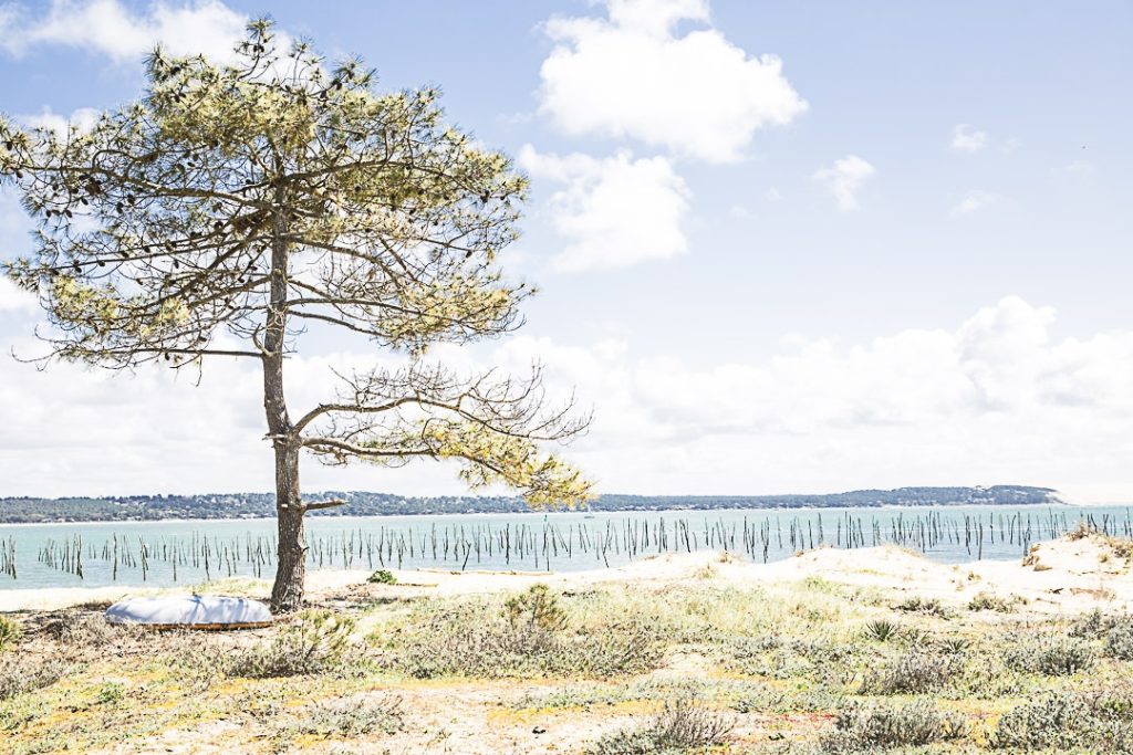Sur la conche