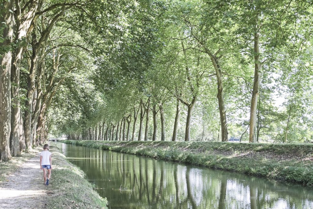 Trésor du Berry : canal de la Sauldre