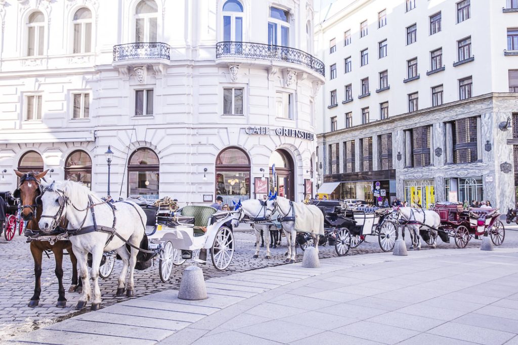 Vienne entre calèches et cafés