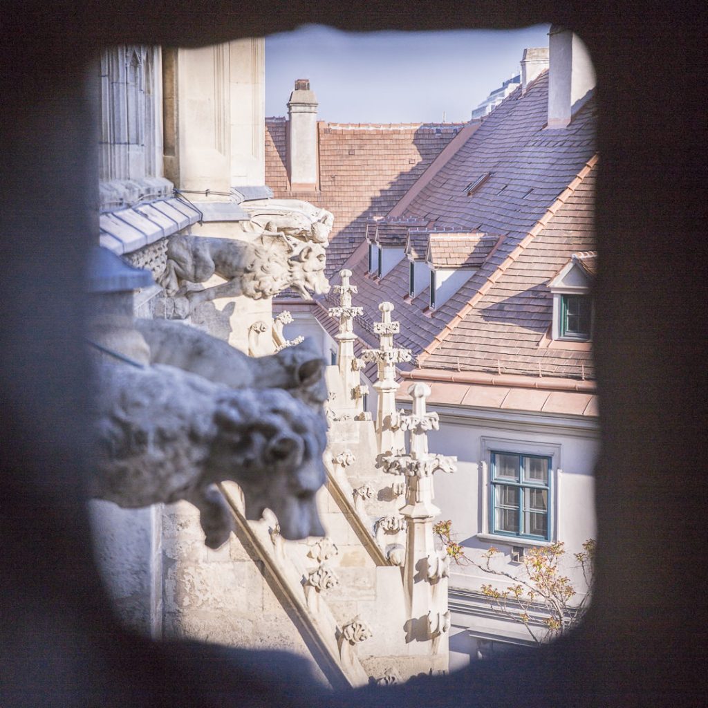 les gargouilles de la cathédrale saint Etienne