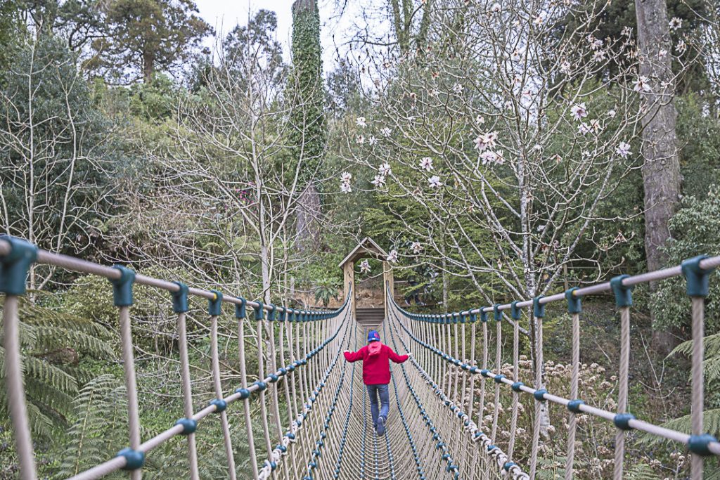 Pont de singe des jardins de Heligan, Cornouailles