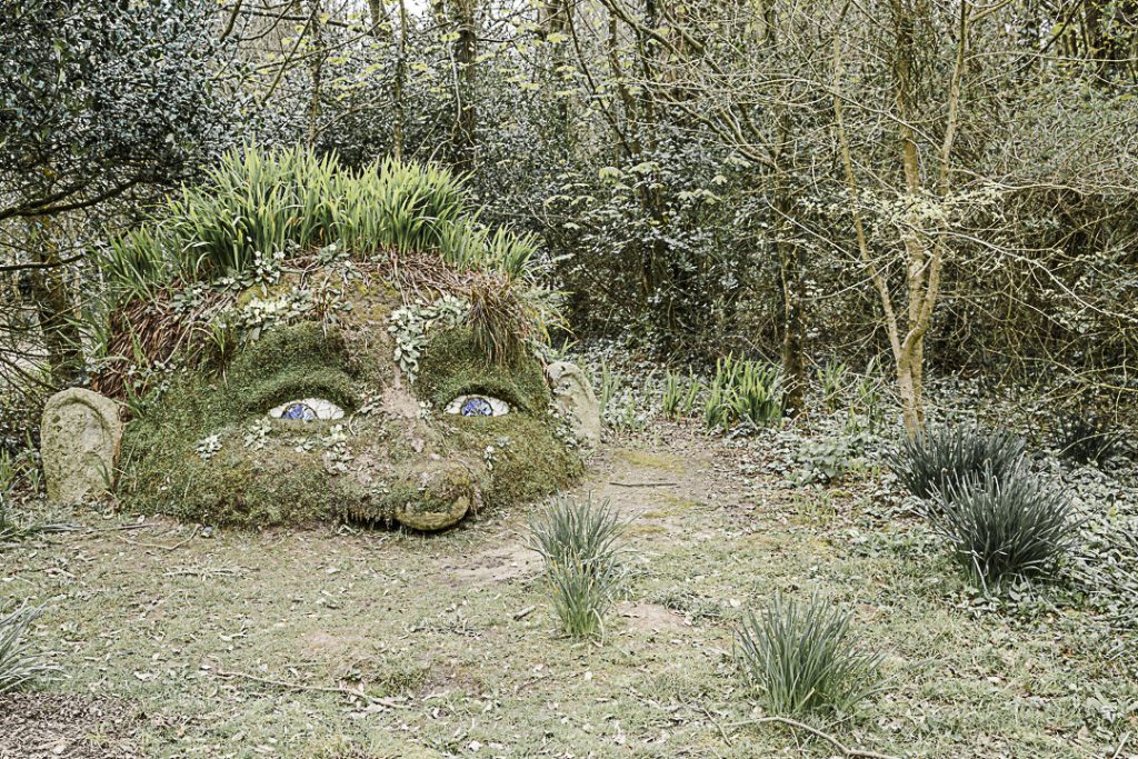 Le géant des jardins de Heligan