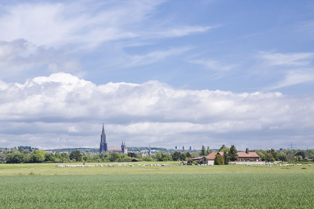 Vue sur Ulm depuis les champs - allemagne