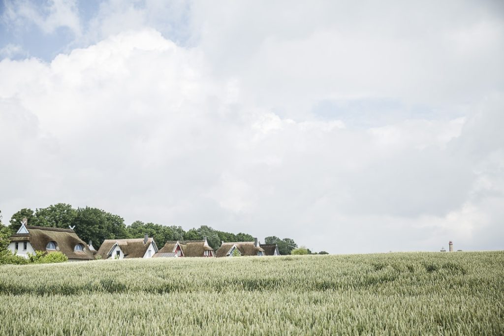 Les champs du cap Arkona