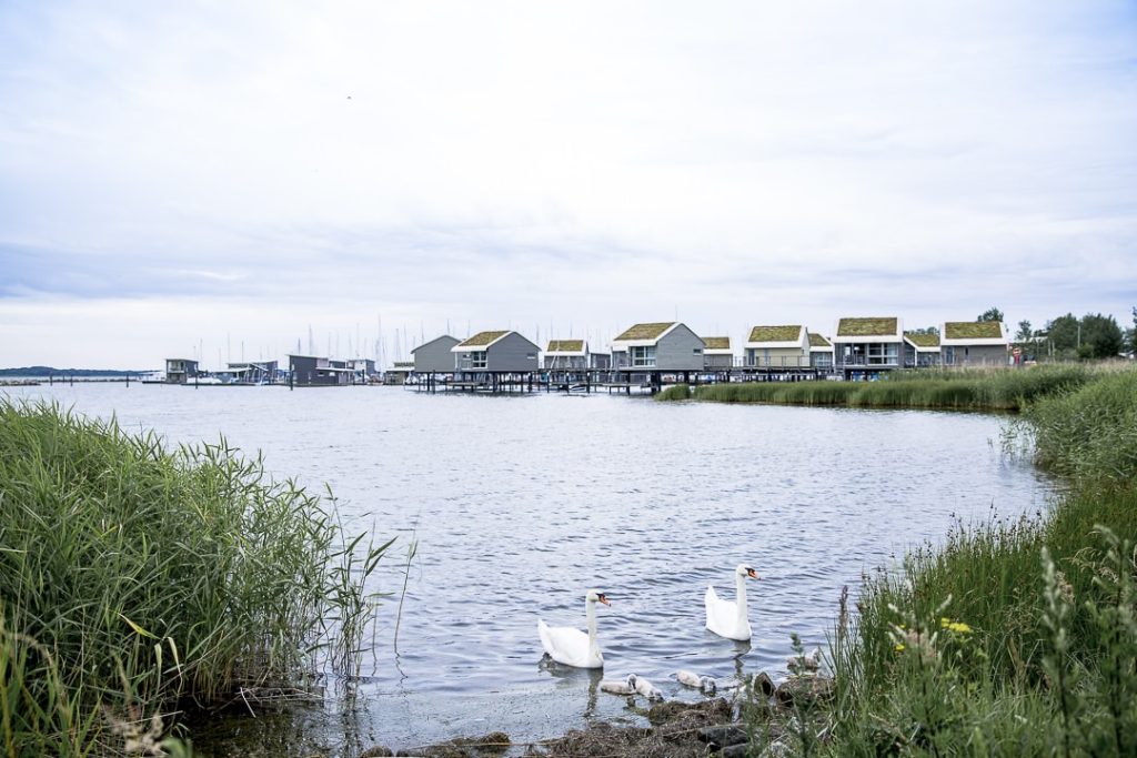 Im Jaich, yacht club Rügen