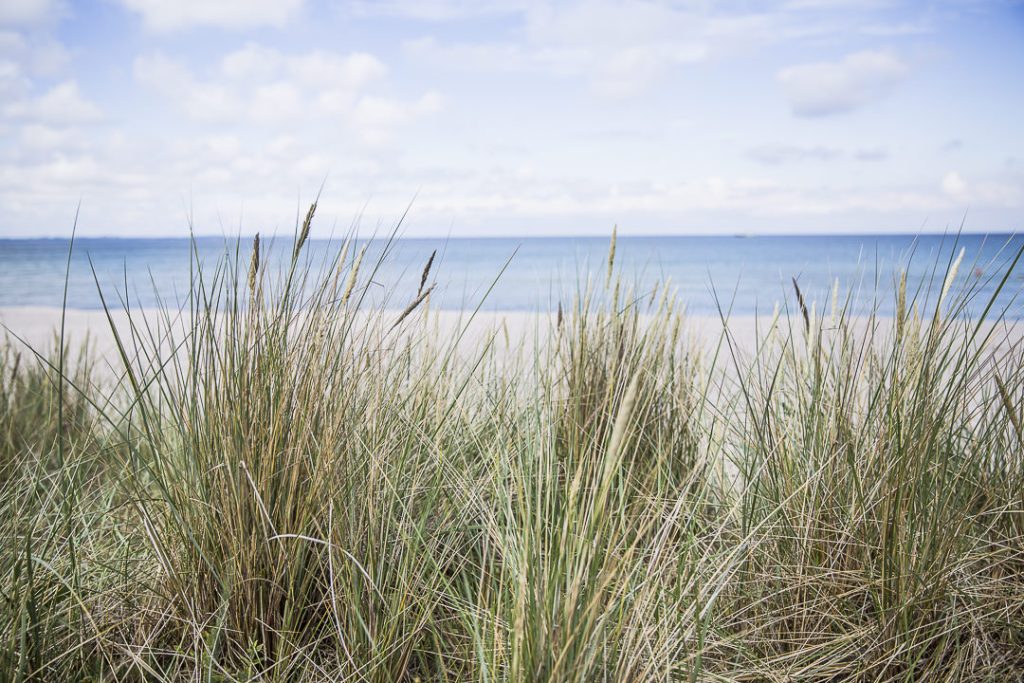 La plage de Moor - Ruegen, Allemagne