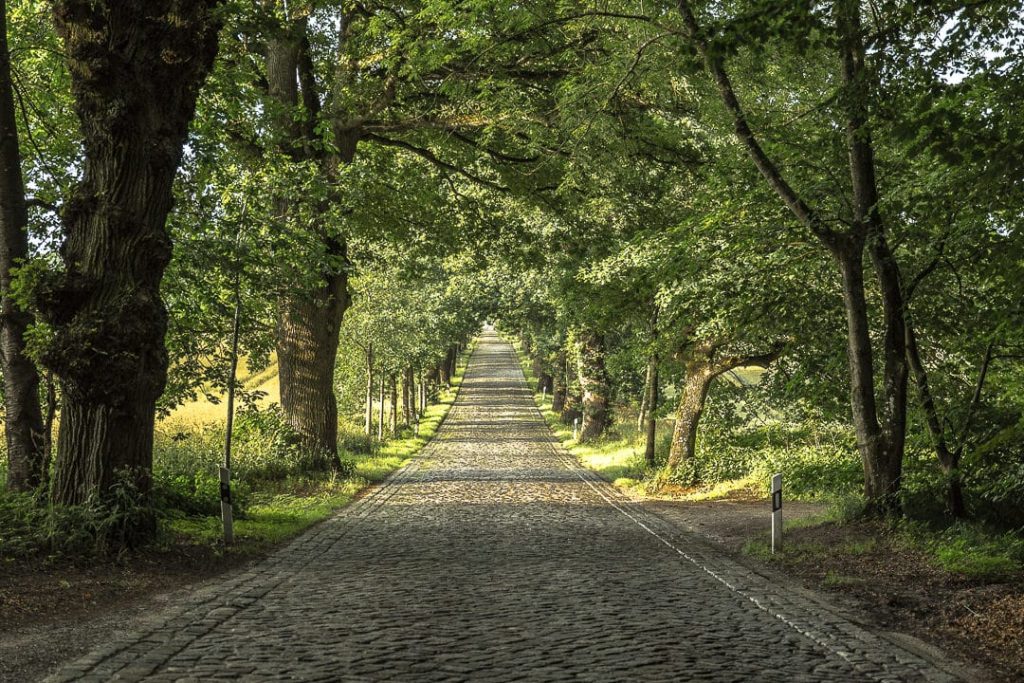 Petite route pavée, typique à Rügen
