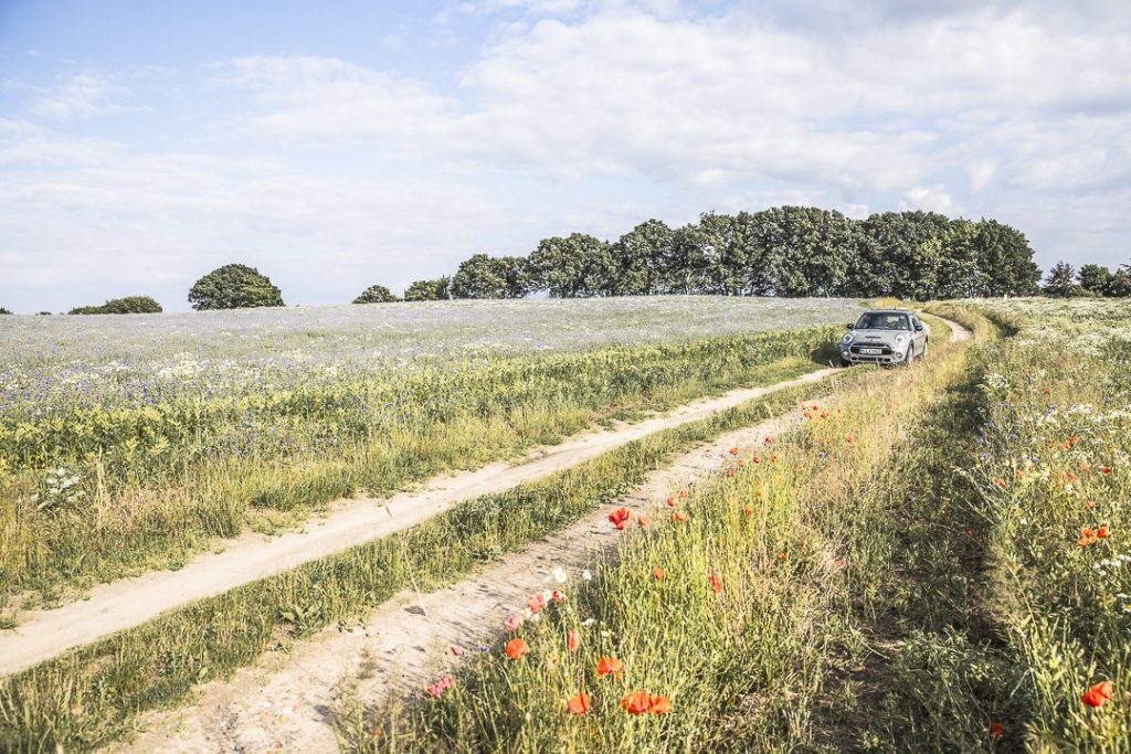 ruegen-mer-baltique-allemagne-mini-dans-les-coquelicots
