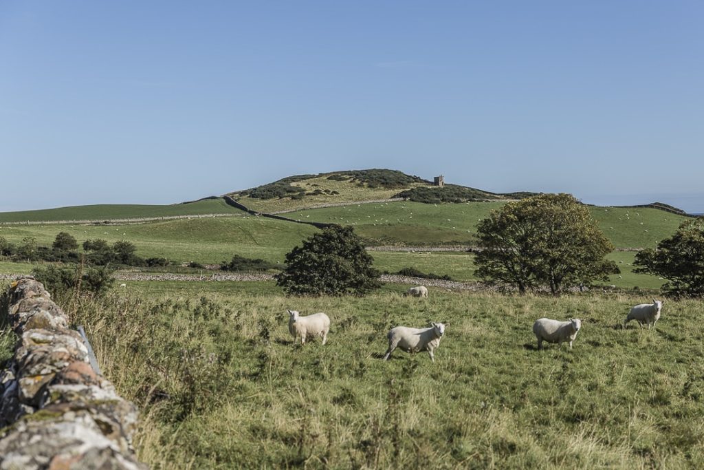 Paysage de la côte est de la North Coast 500 en Ecosse