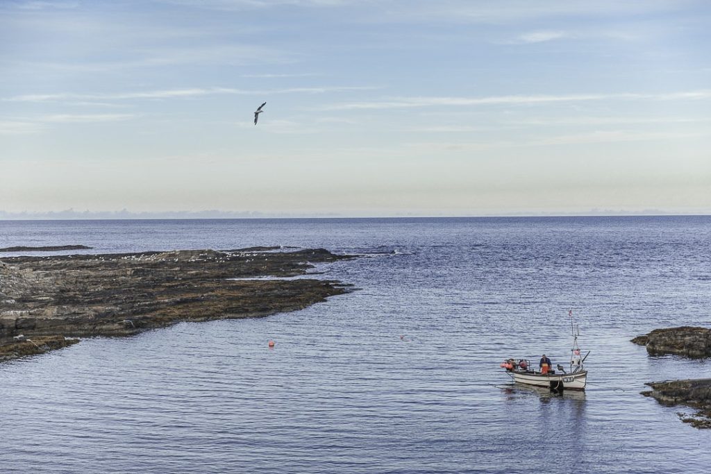 Port de Saxtigoe à Caithness en Ecosse