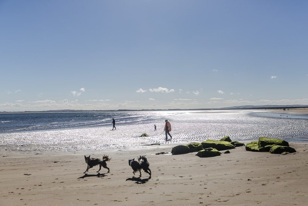 Promenade sur la plage de Durnoch - North coast 500 Ecosse