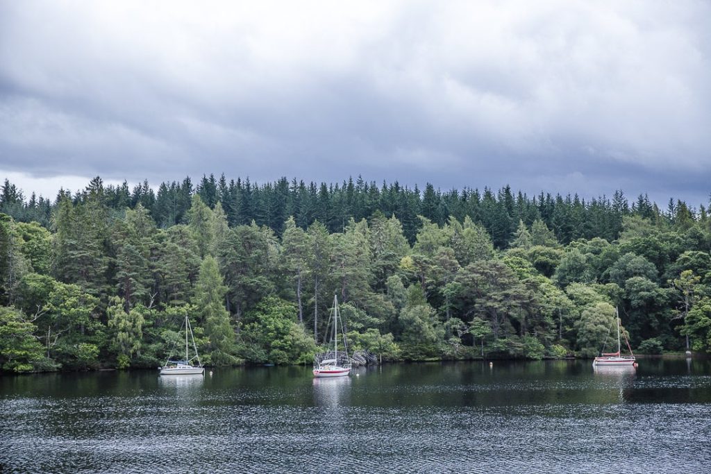 Dégradés de vert sur les bords du Loch Ness - Inverness, Ecosse