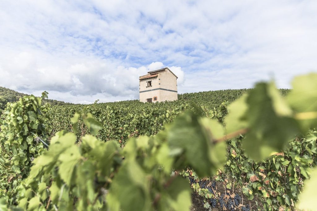 Le pigeonnier de Champdieu - Loire, France