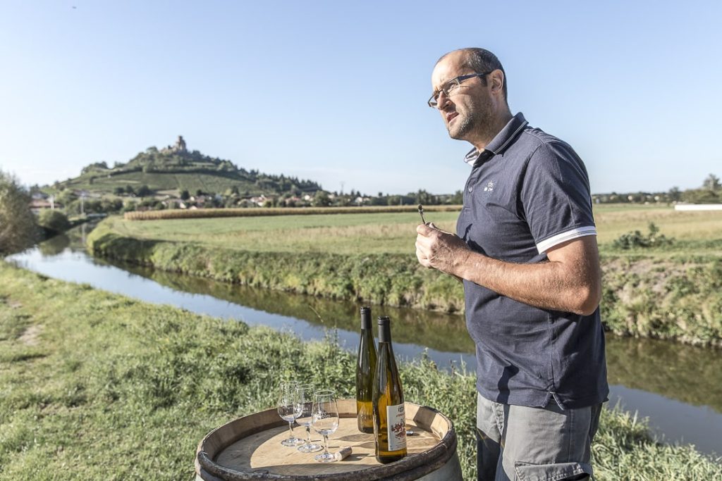Stephane Real viticulteur sur le prieuré de Saint Romain le puy - Loire, France