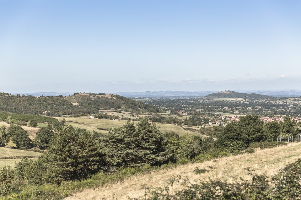 Vue sur Champdieu depuis l'exploitation de Gilles Bonnefoy, viticulteur bio
