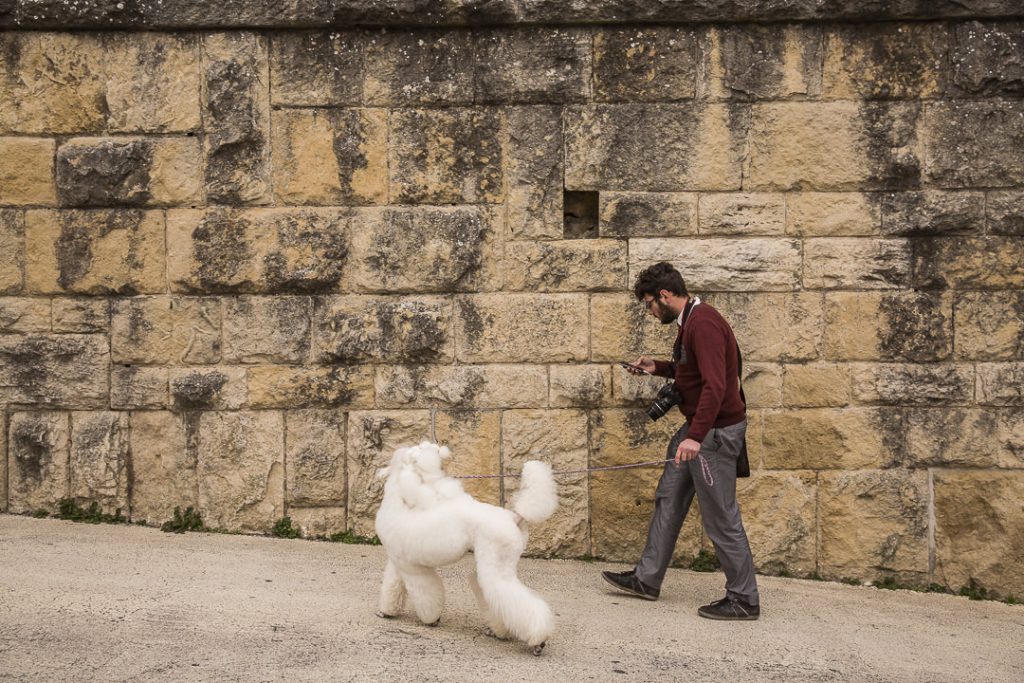 noel-a-saint-marin-le-chien