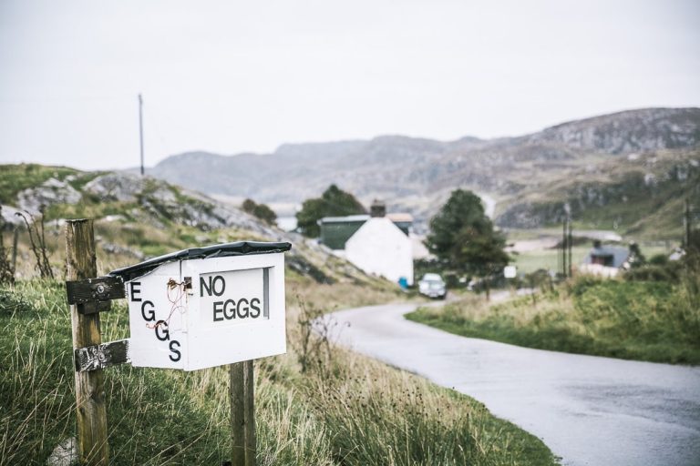 Eggs - No eggs sur la North coast 500 - Ecosse