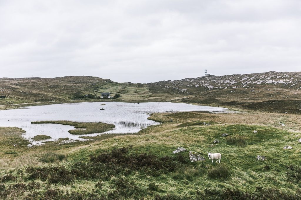 Bord de route sur la North Coast 500 - Ecosse