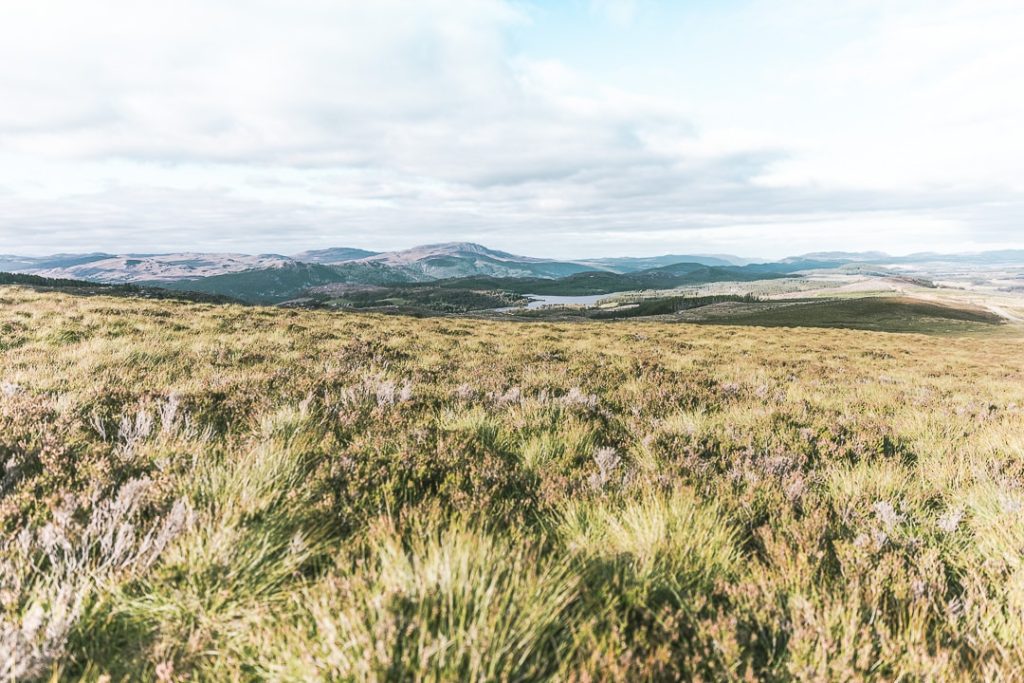 Les environs d'Inverness : Loch et bruyères d'automne