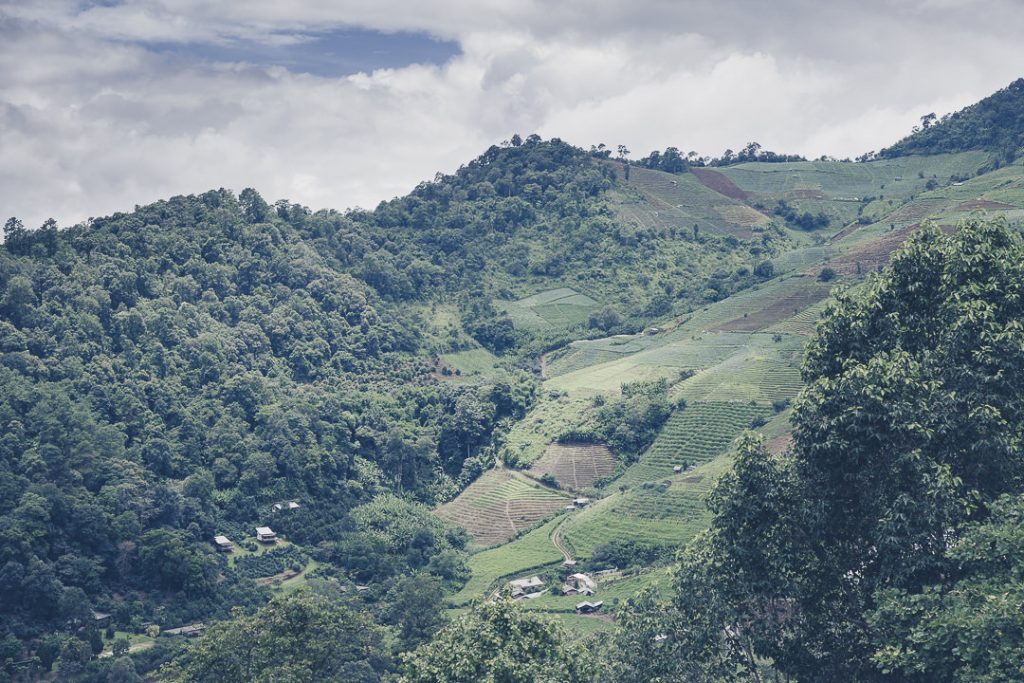 Vue sur les montagnes du nord de la Thaïlande depuis le restaurant du resort Baan Mon Muan