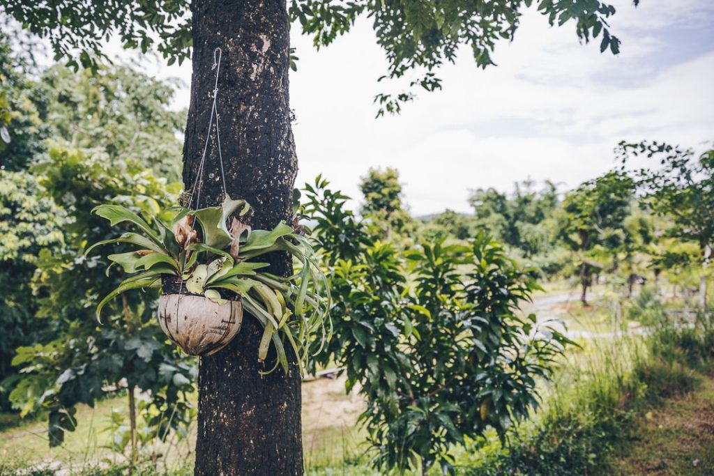 Bambuh boutique homestay, la bonne adresse à Chiang Rai en Thaïlande