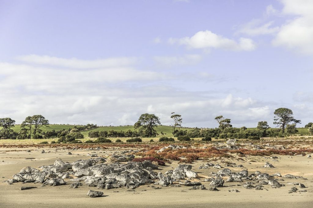 Lac Corangamite - Parc national Port Campbell - Great Ocean Road, Australie