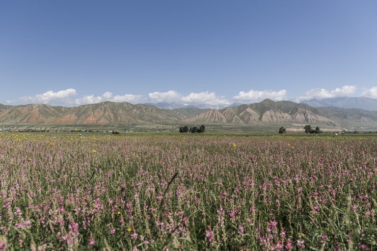 Guide pratique détaillé pour préparer son voyage au Kirghizstan. Que voir ? Que faire ? Où loger ? Que prendre dans son sac à dos ?