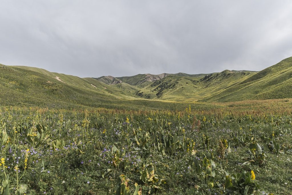 Voyage au Kirghizstan sur la route de la soie - Paysage de montagne au Kirghizstan 2