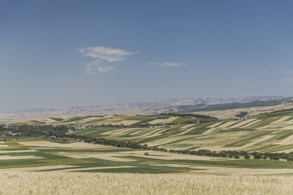 Voyage au Kirghizstan sur la route de la soie - champs à perte de vue