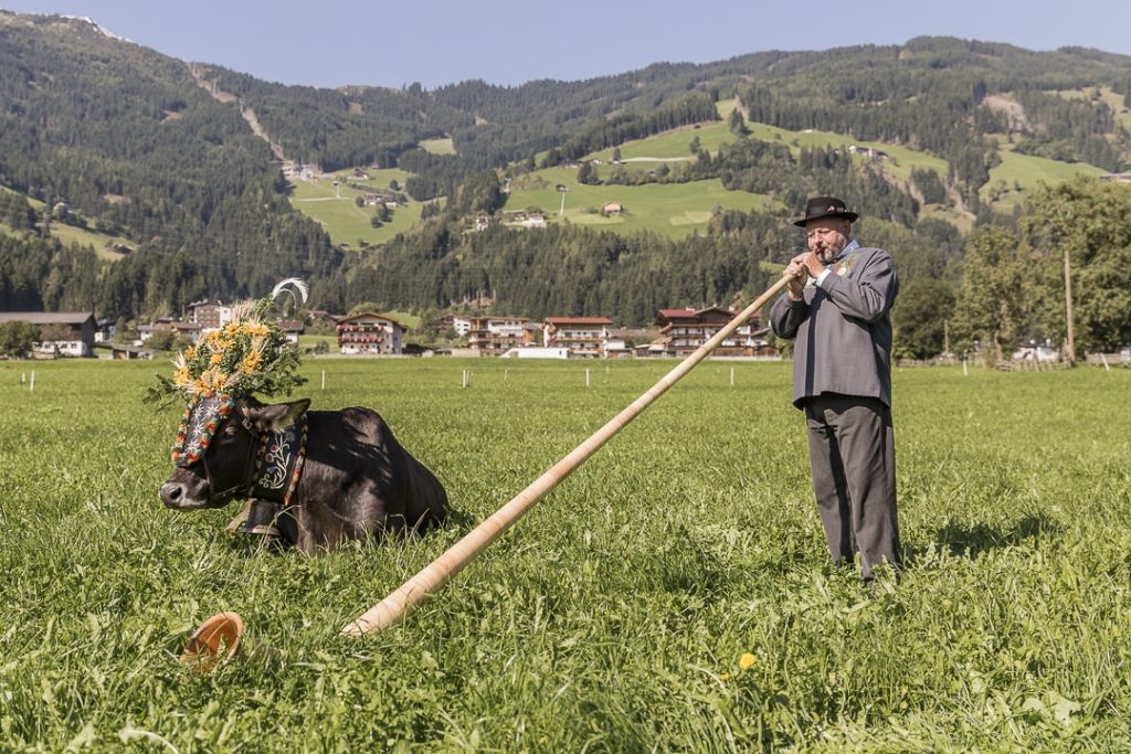 Transhumance en Autriche - Joueur de cor des Alpes #autriche #transhumance